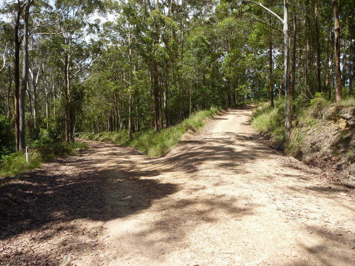 26 | Heaton Lookout to Heaton Gap