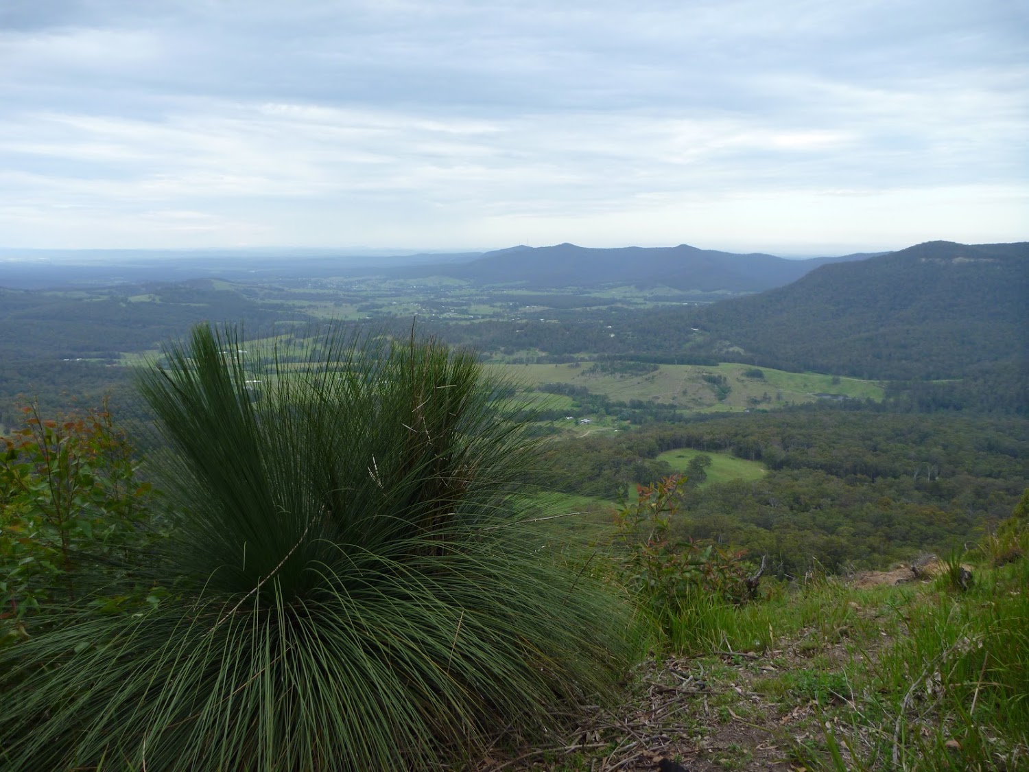 25 | Watagan Headquarters to Heaton Lookout