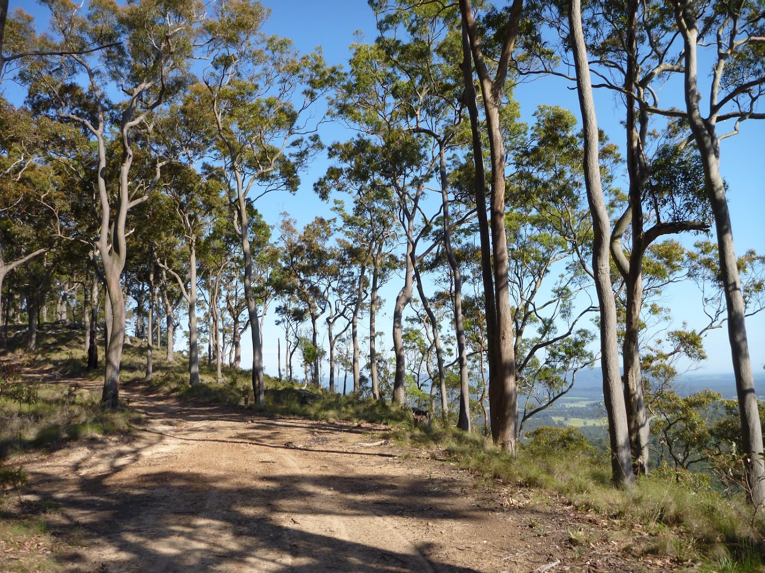 24 | Congewai Trackhead (East) to Watagan Headquarters