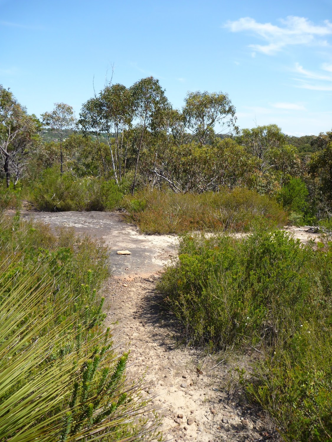 11 | Berowra Waters to Cowan