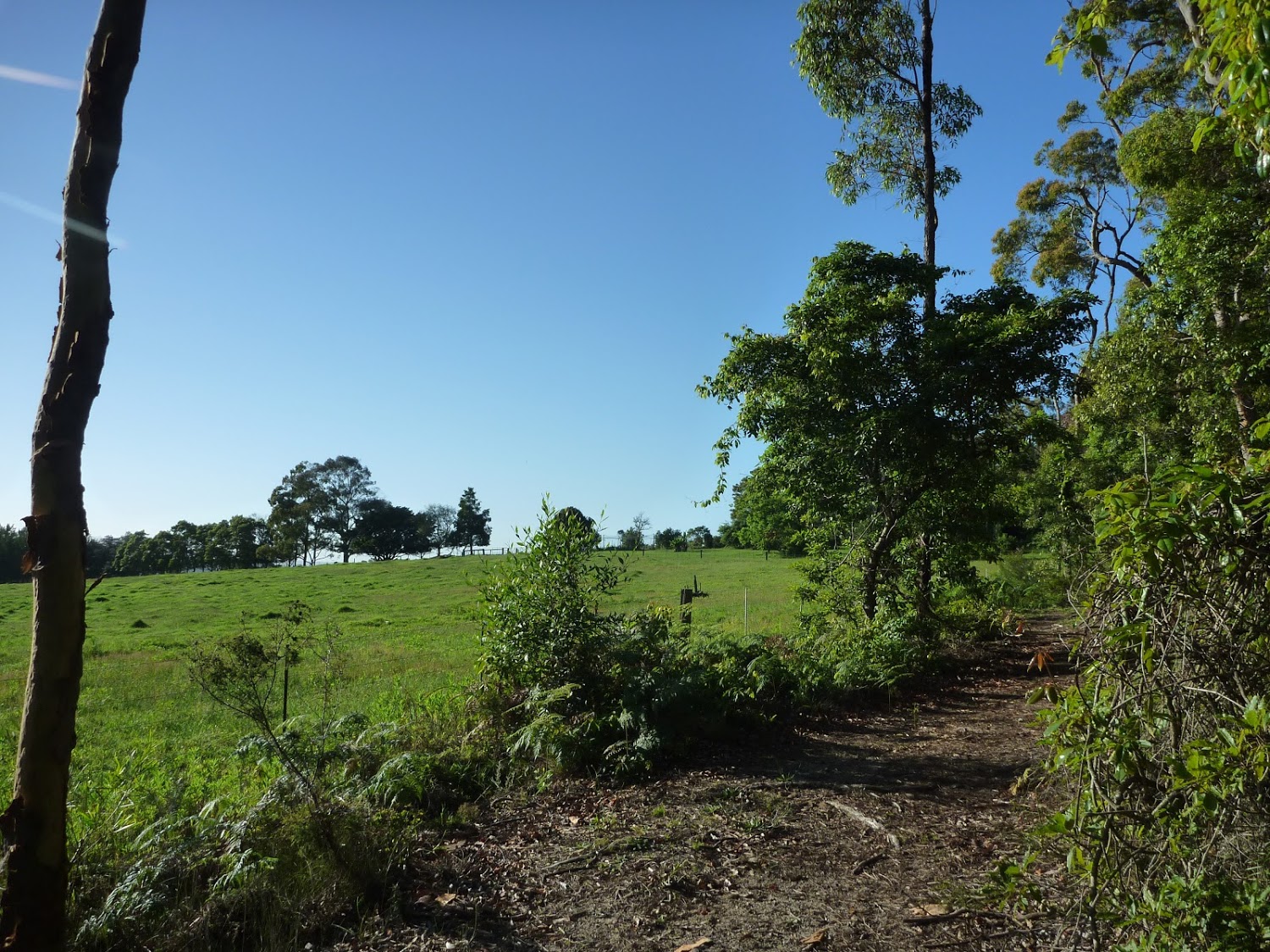 16 | Somersby to Ourimbah Valley Trackhead