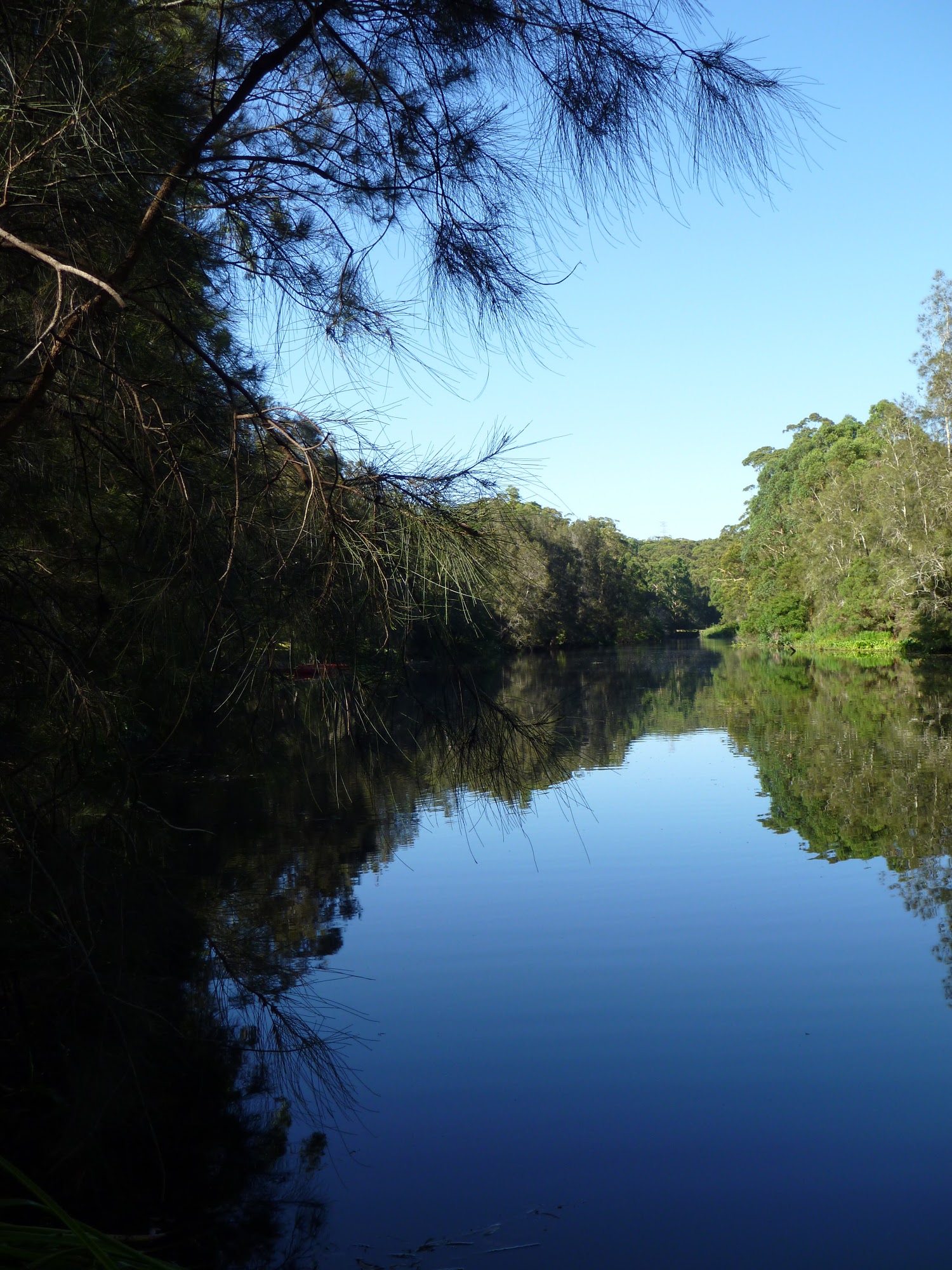 3 | North Ryde Fairyland Circuit